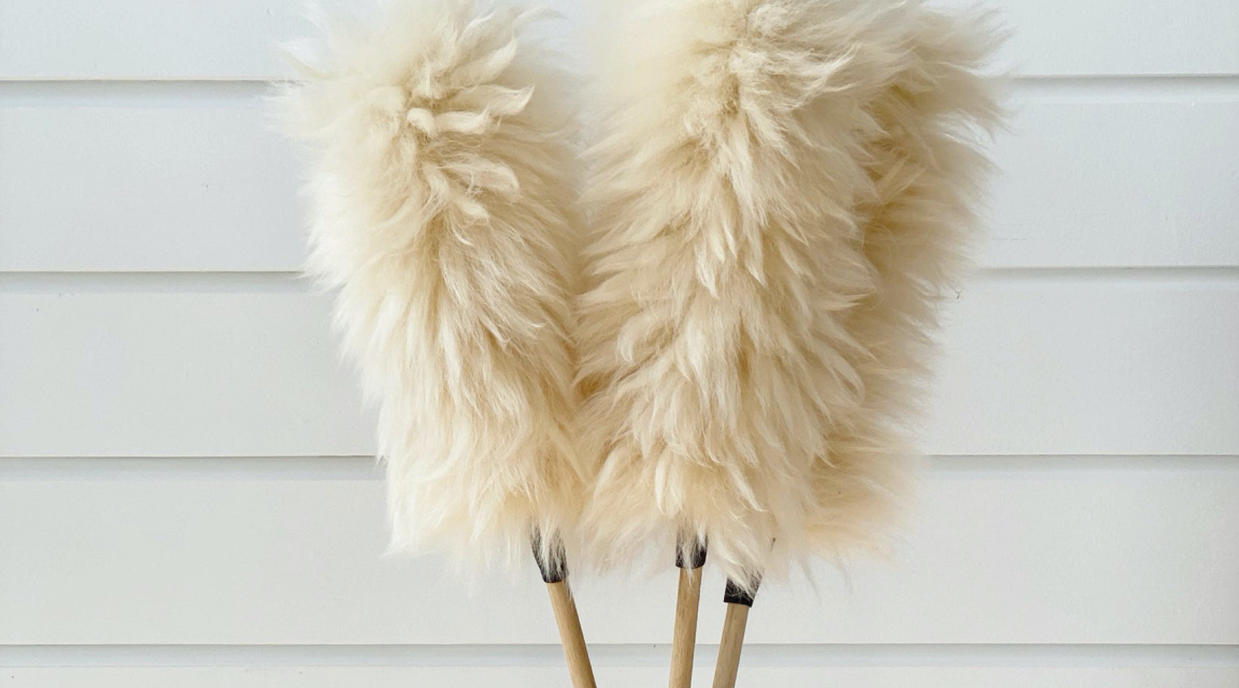 IN FOCUS | SPRING CLEANING