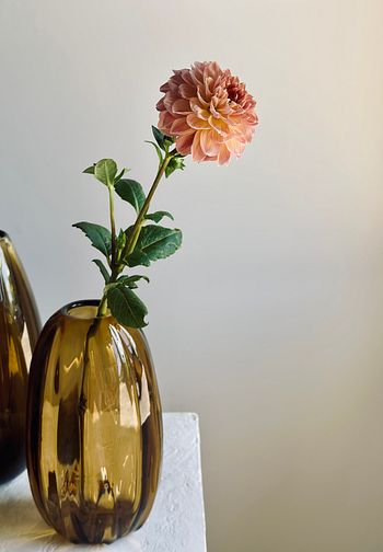 EXTRA TALL ECHORA HAND BLOWN GLASS VASE | Imprint House
