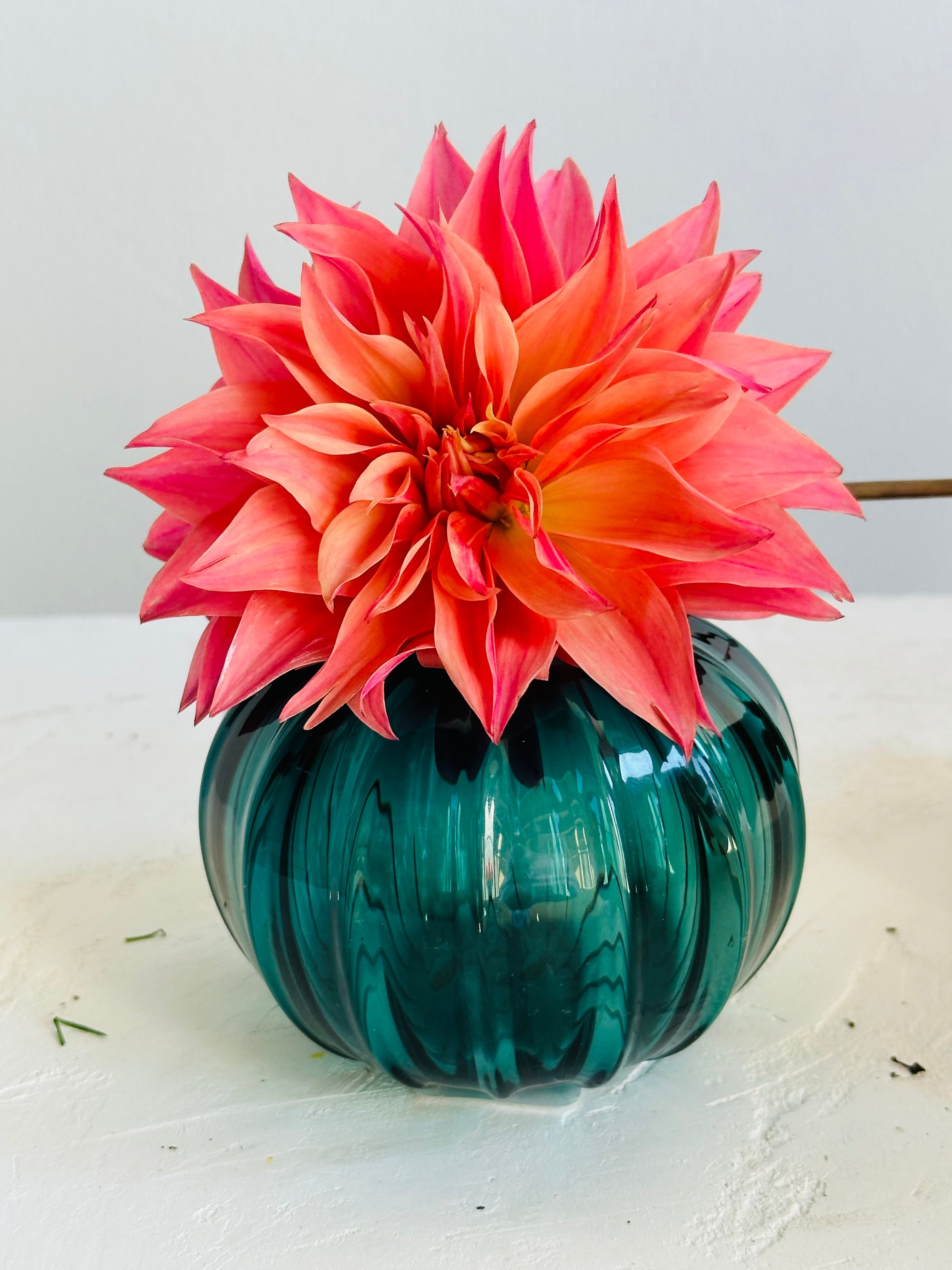 MINI ECHORA HAND BLOWN GLASS VASE | Imprint House