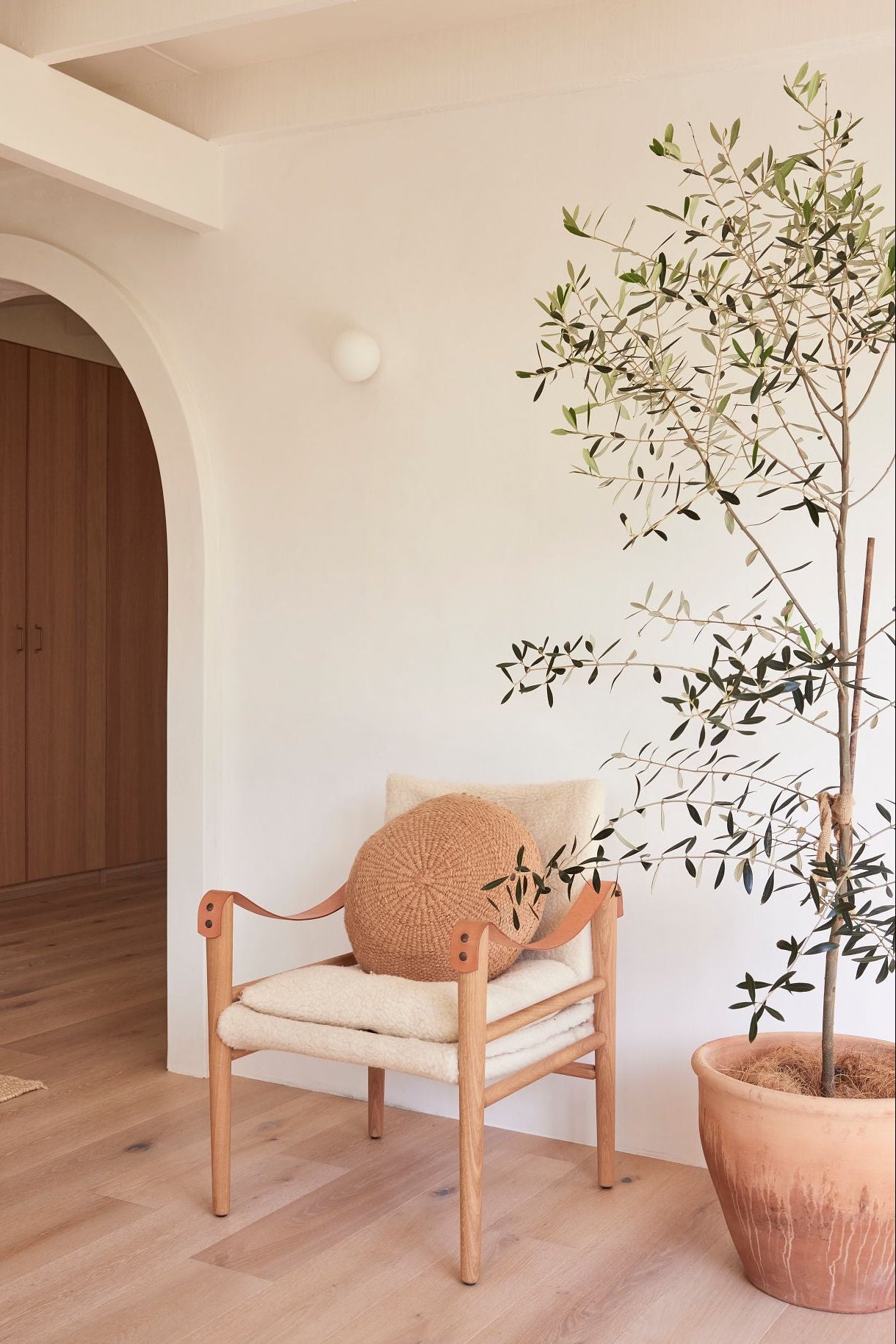 Wooden chair with a cushion and a potted plant in a room with wooden flooring and white walls.