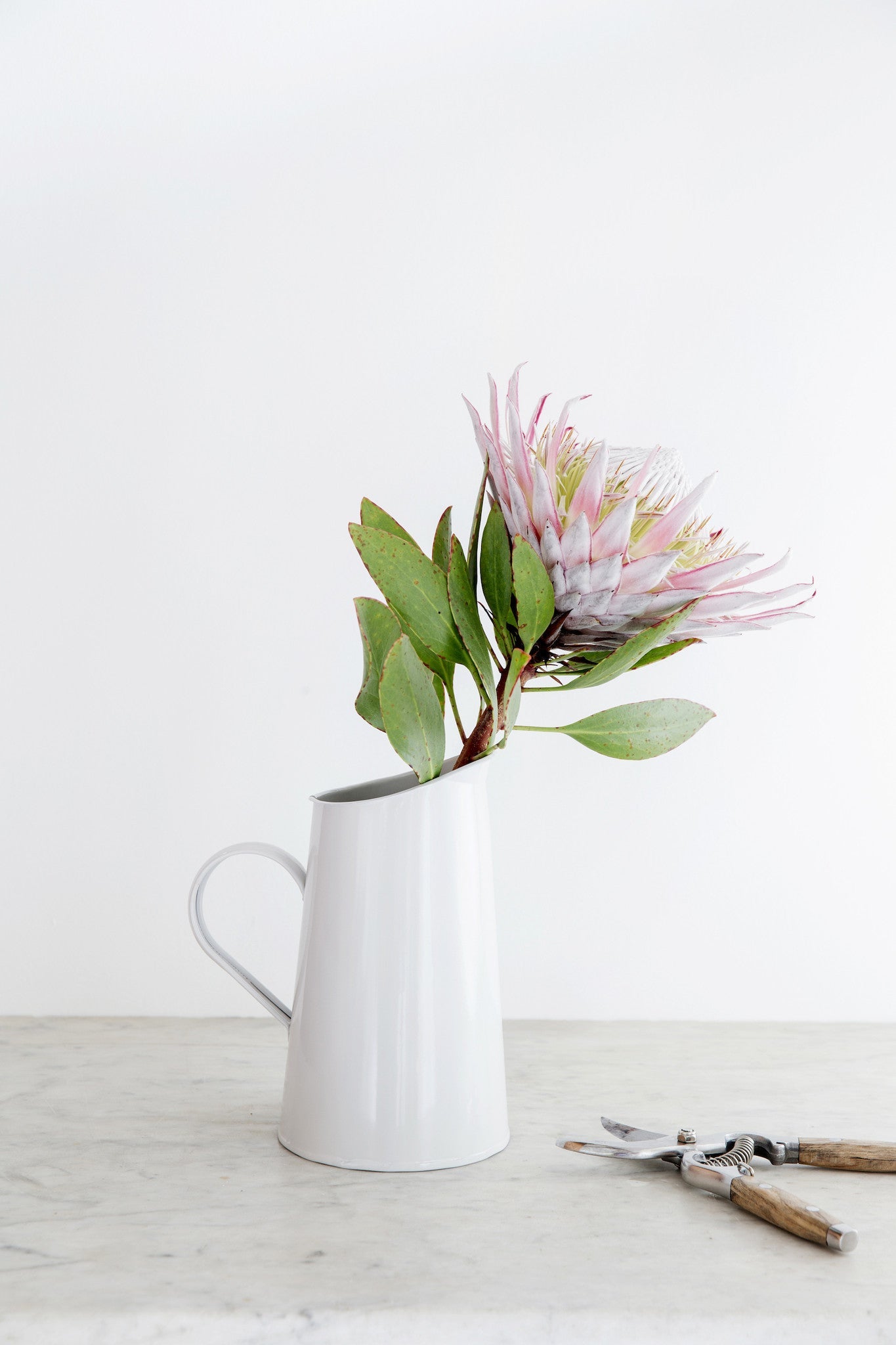 TIMBER-HANDLED SECATEURS | Imprint House